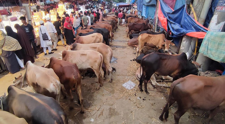 ঢাকার কোরবানির পশুর হাট তদারকি করবে মৎস্য ও প্রাণিসম্পদ মন্ত্রণালয়